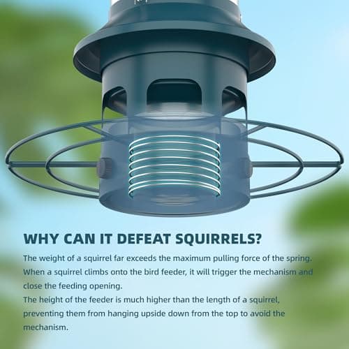 Bird Feeder,Metal Squirrel Proof Bird Feeders for Outdoors Hanging 4.0 LB Capacity,Easily Beat Squirrels,Attracting Finch,Cardinal,Chickadee 6