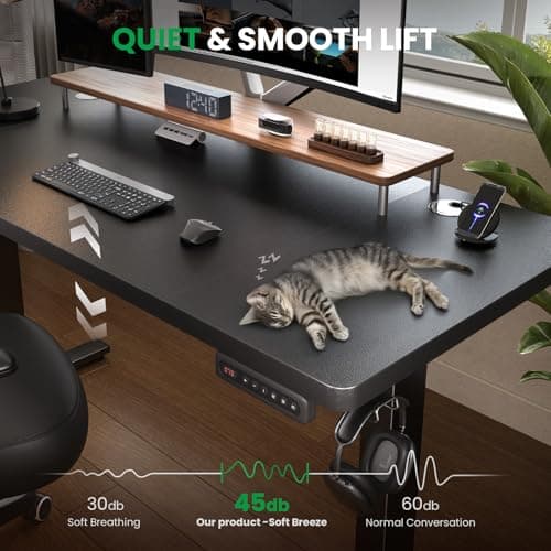 SIAGO Electric Standing Desk Adjustable - 48 x 24 Inch Sit Stand up Desk with Cable Management - 3 Memory Preset Adjustable Height Table 8