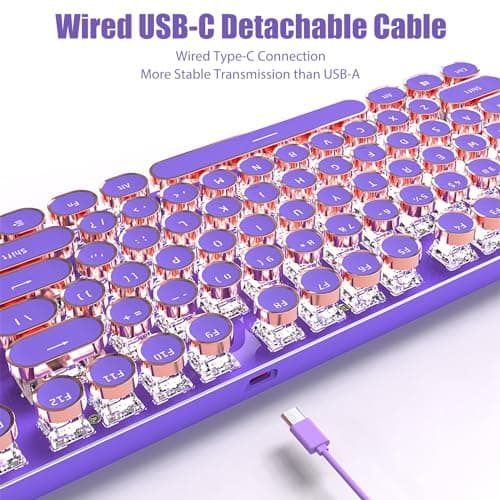 TISHLED Typewriter Style Mechanical Gaming Keyboard White LED Backlit 104-Key NKRO Pink Switches Retro Round Keycaps Golden Ring Volume Knob Metal Panel Wired USB-C Detachable Cable, Purple 6