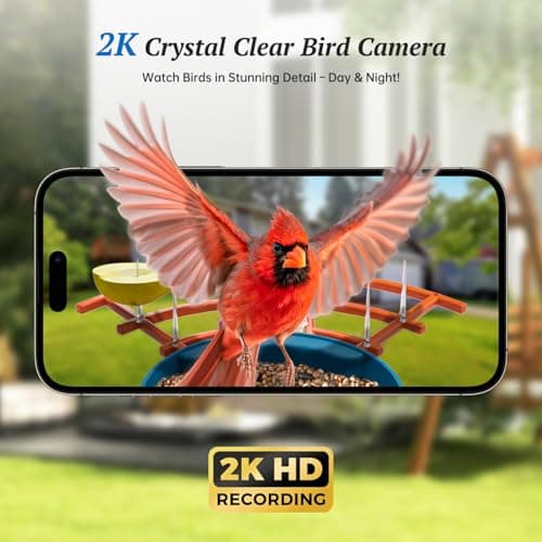 DOCOON Smart Bird Feeder with Camera, 2K HD AI Identify Birds Species, Bird Watching Camera with Solar Panel, Gift for Mom Dad Birdlovers 7