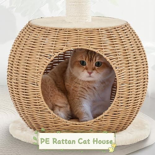 Yaheetech Cat Tree, 29.5in Rattan Cat Tower for Indoor Cats w/Scratching Post, Woven Cat Condo and Soft Cushion Top Perch, Aesthetic Cat Tree for Kittens 7