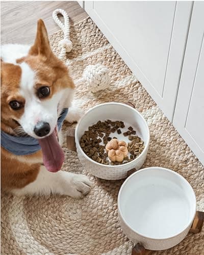 LE TAUCI Dog Bowl Set with Acacia Wood Stand - 1.5-Cup Ceramic Puppy Bowls for Small Dogs, Dual Food and Water Bowls with Weighted Non-Slip Base 8