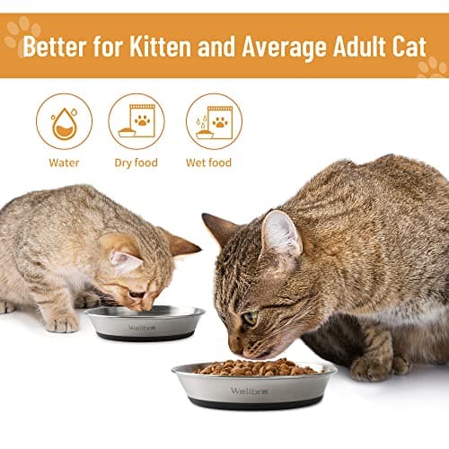 Wellbro Cat Bowls, 2 Pcs Stainless Steel Cat Bowls for Food and Water, Whisker Fatigue Shallow Non-Slip Dishes Plates for Small Dog Puppies Cats 5