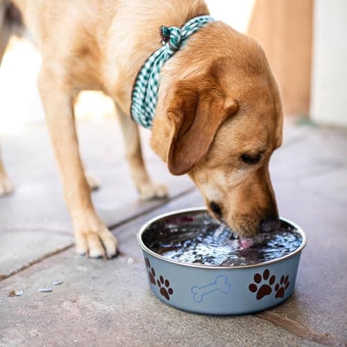 Loving Pets Bella Dog Bowls- Stainless Steel Dog & Cat Bowls - Spill Proof Dog Food Bowl, Cat Bowl, Puppy Essentials & Pet Supplies Great for Home & Travel (Medium 20-35 lbs, Blueberry) 5