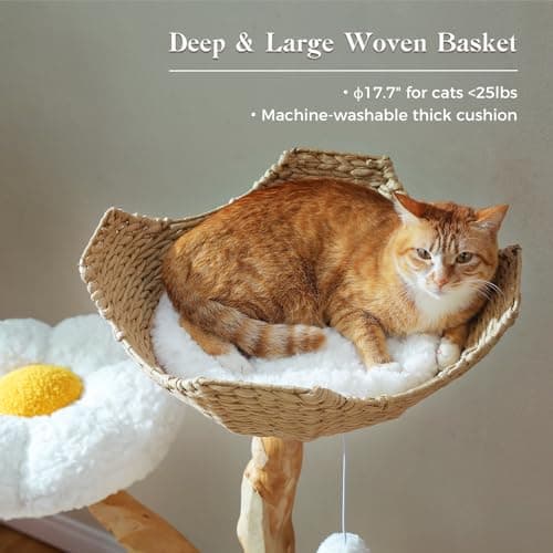PAWZ Road Cat Tree for Indoor Cats Large Adults, 59 Inches Modern Cat Tower with Large Basket and Hammock, Natural Solid Wood, Luxury Condo & Dual Perches, Modern Cat Furniture for Big Cats, White 6
