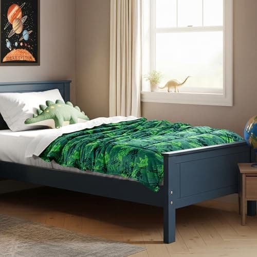 Bare Home Weighted Blanket Twin or Full Size 10lb (40" x 60") - Minky Fleece - Premium Heavy Blanket Nontoxic Glass Beads (Dinosaur, 40"x60")