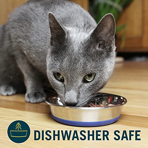 Our Pets DuraPet Stainless Steel Non-Slip (Cat Food Bowl or Water Bowl) (Holds up to 1 Cup of Wet or Dry Food) Easy to Clean 6