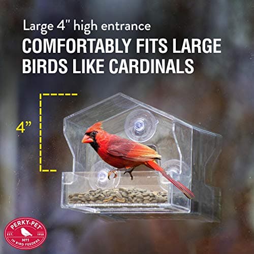 Perky-Pet Clear Outdoor Window Bird Feeder with Strong Suction Cups – 1/2 Lb Seed Capacity - Perky Pet 345 - Entertaining Bird Feeding - Watch Birds Eat Seeds 5