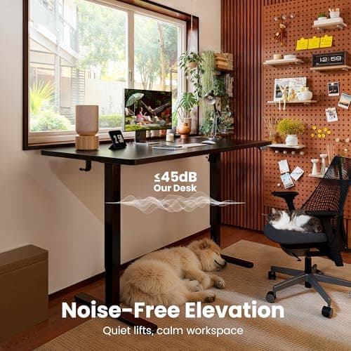 ErGear Height Adjustable Electric Standing Desk, 48 x 24 Inches Sit Stand up Desk, Memory Computer Home Office Desk, Black 9
