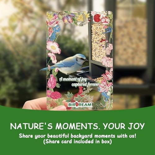 Birdream 2 Pack Bird Feeders for Outdoor Hanging, Retro Pagoda Design Fun Installation Bird Feeder, Attracting Wild Birds Chickadees Goldfinches Cardinals Finches and Sparrows 8