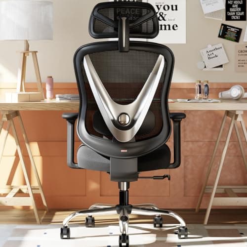 HOLLUDLE Ergonomic Mesh Office Chair - 3D Adjustable Lumbar Support & 3D Armrests, V-Shaped Back, Adjustable Desk Chair for Office & Home, Black