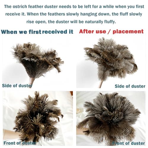 Ostrich Feather Duster for Cleaning-Furniture Dusters with Handle Ddzmz Hand Duster with Fluffy Natural Genuine Feather Reusable Household Duster, Gray and Brown(Length 16") 6