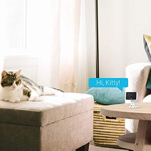 Zmodo Cameras for Home Security (Indoor & Outdoor Camera Bundle), 1080p HD, IP Camera Wireless WiFi, Motion Detection, Two-Way Talk, Night Vision, Remote View, Cloud Service, Work with Alexa/Google 5