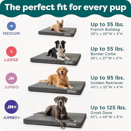 Furhaven Water-Resistant Orthopedic Dog Bed for Large/Medium Dogs w/ Removable Washable Cover, For Dogs Up to 55 lbs - Indoor/Outdoor Logo Print Oxford Polycanvas Mattress - Forest, Large 6