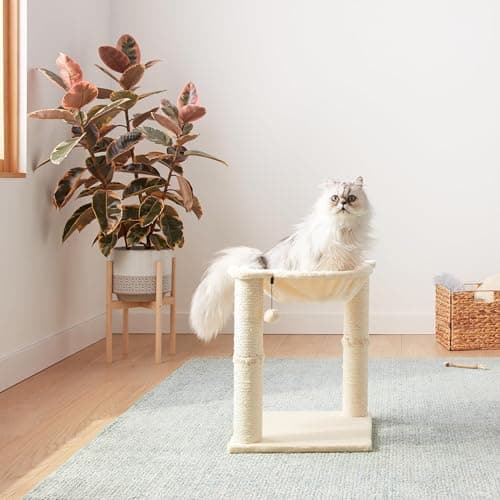 Amazon Basics Cat Tower with Hammock Bed and Scratching Post for Indoor Cats, Easy to Assemble, Interactive Hanging Ball, 15.8" x 15.8" x 19.7", Beige 6