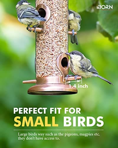iBorn Metal Bird Feeders Brushed Copper Wild Bird Feeder for Outdoors Hanging All Metal Brushed Copper Finishing 15 Inch 6 Port(Seed is not Included) 8
