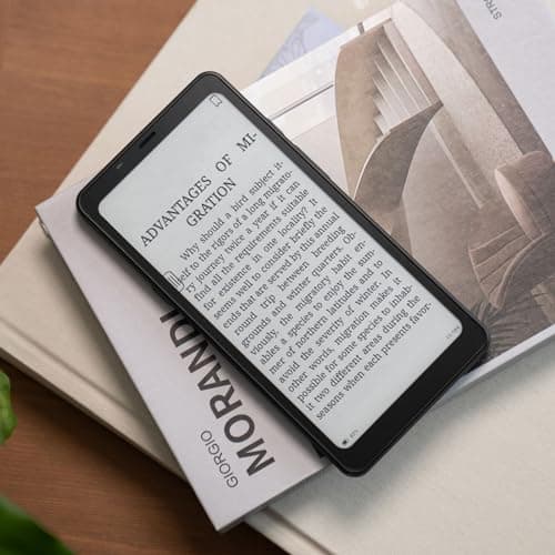 BOOX Palma eBook Reader Mobile ePaper 6G 128G G-Sensor Front Light 16MP Rear Camera (White) 7