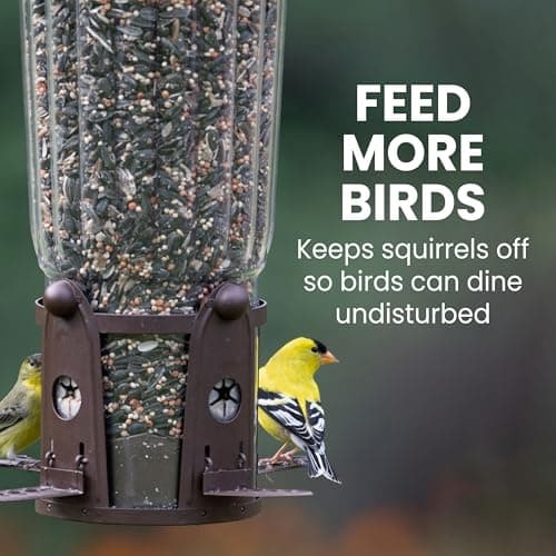 Perky-Pet 334-1SR Squirrel-Be-Gone Max Large Wild Bird Feeder with Flexports, Squirrel Proof Bird Feeder with Weight-Activated Perches - 4LB Seed Capacity 9