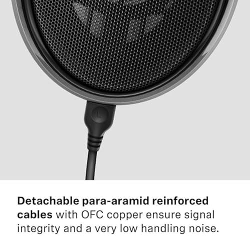 Sennheiser Consumer Audio HD 650 - Audiophile Hi-Res Open Back Dynamic Headphone, Titan 5