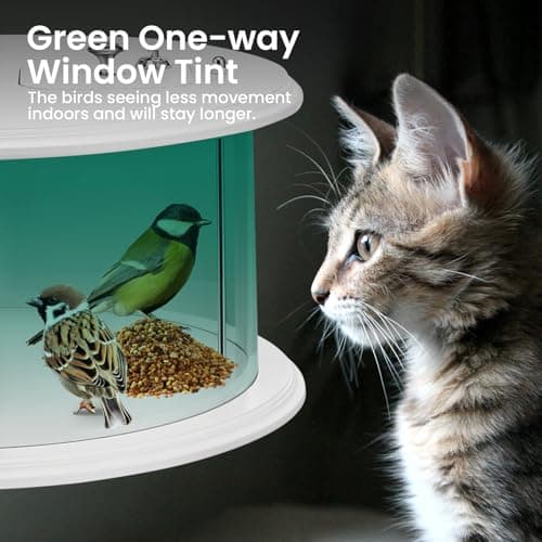 YORKING Window Bird Feeder, 180° Clear Bird Feeders for Window Viewing Inside, Squirrel Proof Wild Bird Feeders with Secure Lock, Extra Green Screen for Birds Stay Longer, Best Gift to Close Nature 4