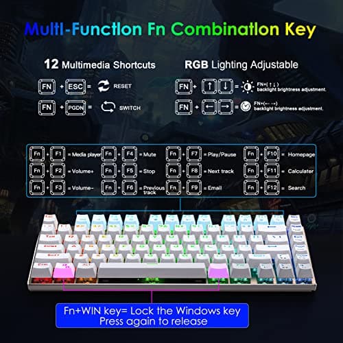 HUO JI E-Yooso Z-88 RGB Mechanical Gaming Keyboard, Metal Panel, Blue Switches - Clicky, Compact 81 Keys Hot Swappable for Mac, PC, Silver and White 6