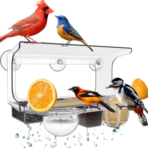 LUJII 6-in-1 Window Bird Feeder with Strongest Suction Cups, All-in-one Feeder for Bird Seed, Suet Ball, Mealworm, Oriole Orange Fruit, Jam or Water, 2 Removable Trays for Easy Cleaning, Clear