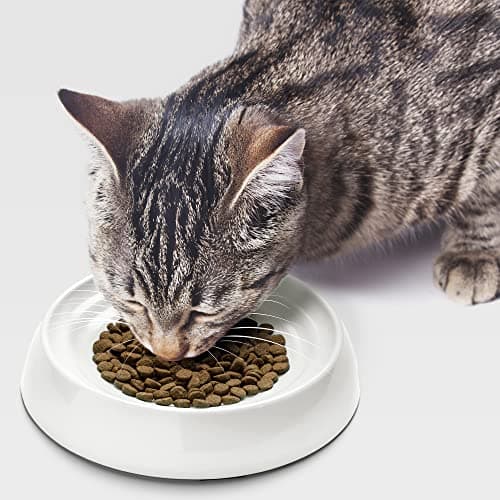 CatGuru Cat Bowls, Whisker Friendly Food Bowl for Indoor Cats, Reliefs Whisker Fatigue, Wide Kitten Dish, Non Slip Pet Dishes, Shallow Pet Plates (Marshmallow, (Pack of 2)) 8