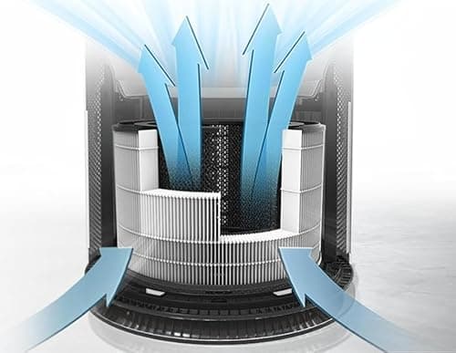 PuriCare 360 Replacement Filter for LG PuriCare 360 Air Purifier, H13 True HEPA with Pre-filter and High Efficiency Activated Carbon filter, Model Number AAFTDT301 AS601HBB0 5