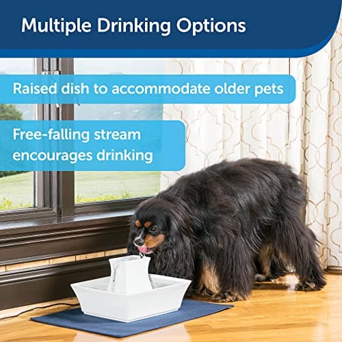 PetSafe Drinkwell Pagoda Fountain - Hygienic Ceramic Continuous Flowing Fountain - Elevated Upper Bowl & Double Free-Falling Stream Design - Minimalist Pet Hydration Station - 70 oz Capacity 5
