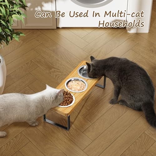Elevated Cat Bowls with 3 Stainless Steel Bowls | 10° Tilted Anti-Vomiting Raised Cat Food Bowl for Small Cats and Puppies Pet Bowl with Stand 5