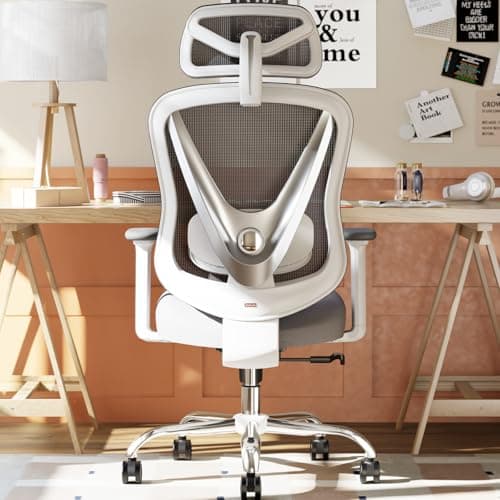 HOLLUDLE Ergonomic Mesh Office Chair - 3D Adjustable Lumbar Support & 3D Armrests, V-Shaped Back, Adjustable Desk Chair for Office & Home, White