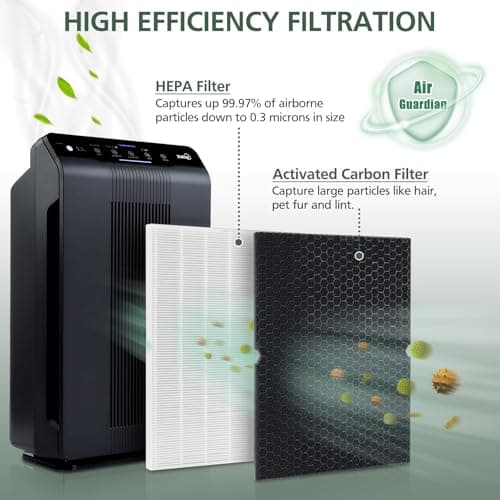116130 HEPA Replacement Filter H 116130 for Winix 5500-2 Plasmawave Air Purifier and Models AM80 - HEPA and Activated Carbon Filter Combo Pack 5