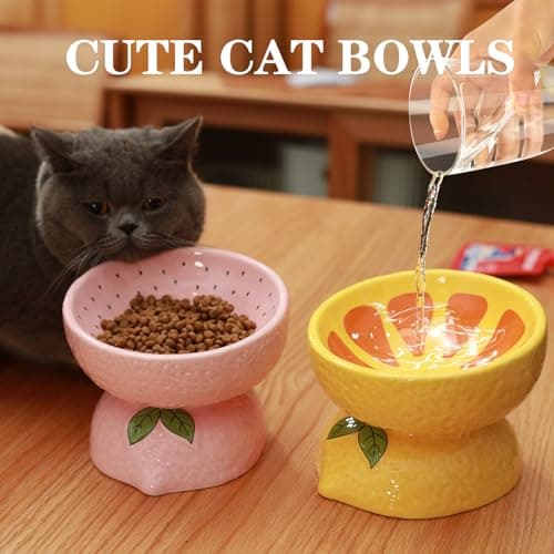 LINSHANMIN Elevated Cat Bowl, Ceramic Tilted Cat Food Bowl for Indoor Cats, Shallow Food Dish Whisker Friendly for Adult Cats and Small Medium Dogs (Yellow). 7