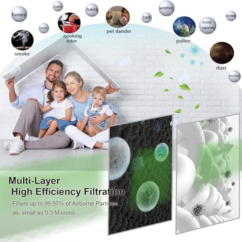 (2) MD1-0022 True HEPA Filter with (4) MD1-0023 Activated Carbon Pre-filter, Compatible with Vornado Air Purifier Model AC300, AC350, AC500, AC550, PCO200, PCO300, PCO375DC, PCO500, PCO575DC 5