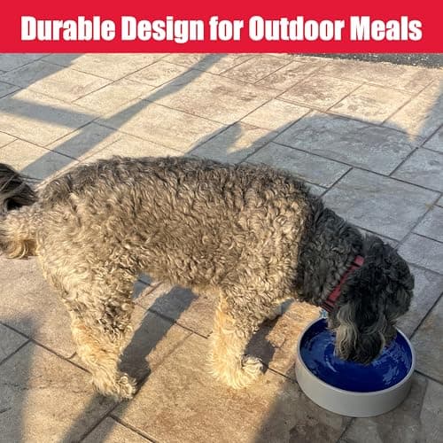 SPOT Standard Crock Dish - Heavy Duty, Non-Slip, Round Ceramic Food/Water Bowl for Pets, Ideal for Medium to Large Dogs or Multiple Animals, Dishwasher Safe - 9.5 in, 8 Cups, (64 Oz) 6