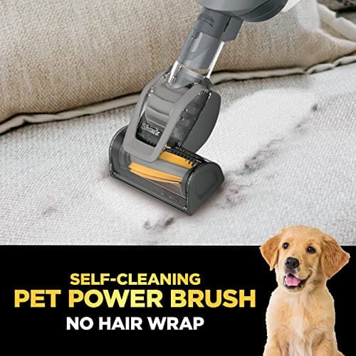 SHARK Ultralight Corded Handheld Vacuum with Self-Cleaning Power Brush & Crevice Tool, Hypervelocity Suction & Removable Dust Cup, Perfect for Pets, Teal, 0.35 Qt (Renewed) 5