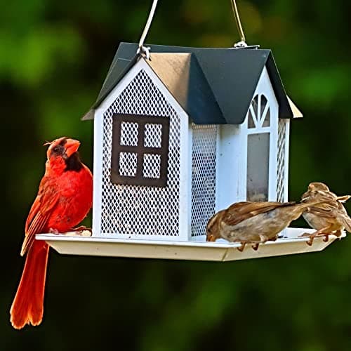 Kingsyard Bird Feeder House for Outside, Metal Mesh Wild Bird Feeder with Triple Feeders for Finch Cardinal Chickadee, Large Capacity, Weatherproof and Durable 7