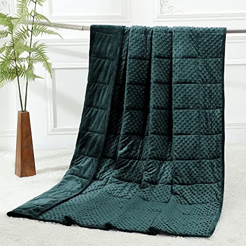 Alomidds Weighted Blanket, Luxury Velvet Heavy Blankets for Adults and Kids,Warm and Breathable Soft and Comfort Minky, Gravity Blanket with Glass Beads (48"x72",12lbs Twin Size - Green)