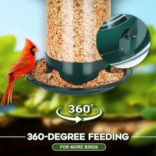 Gbekery Metal Bird Feeders for Outdoors Hanging, Weather Resistant Wild Bird Feeder with 360 Degree Feeding Tray, Green 6