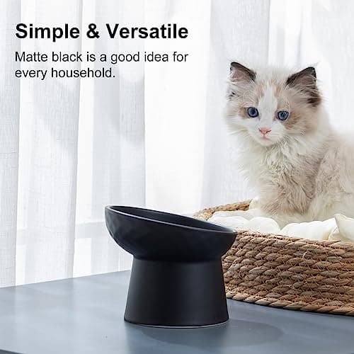 YauYik Raised Cat Bowl Black, Elevated Cat Food Bowls with Tilted Angle, Stress Free, Anti Vomiting, Ceramic Water Bowl for Cats Small Dogs Feeding Dish, 8 Ounces 5