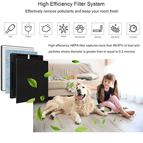 Nyingchi Replacement Filter, Compatible with RENPHO Air Purifier RP-AP001, RP-AP001S, RP-AP002 5