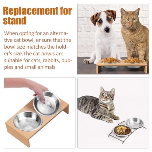 ARGCONNER 6 Pcs Stainless Steel Cat Bowls, Metal Cat Bowls Whisker Friendly, 5.5Inch Shallow Wide Cat Food Dishes, Replacement Basic Cat Plates 6