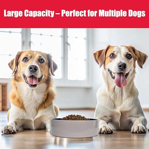SPOT Standard Crock Dish - Heavy Duty, Non-Slip, Round Ceramic Food/Water Bowl for Pets, Ideal for Medium to Large Dogs or Multiple Animals, Dishwasher Safe - 9.5 in, 8 Cups, (64 Oz) 7