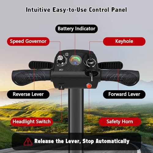 Hassky 4-Wheel Lightweight Folding Mobility Scooter for Seniors 22-Mile Range with Dual Batteries All-Terrain Electric Scooter for Adults with Detachable Lithium Battery & Charger 7