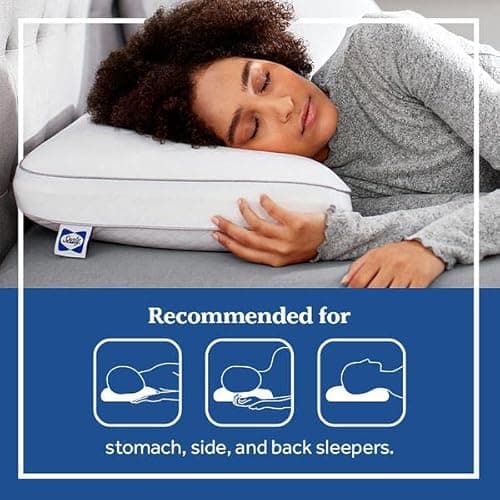 Sealy Essentials Premium Memory Foam Bed Pillow for Pressure Relief, Adaptive Design for Head and Neck Support with Washable Removable Cover, 1 Pack, White 5