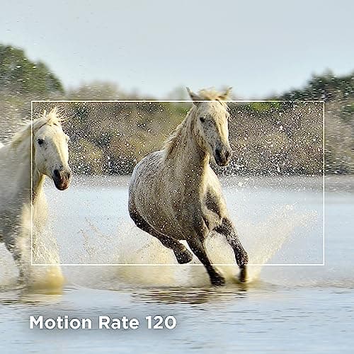 TCL 55-Inch Class S4 4K LED Smart TV with Fire TV (55S450F, 2023 Model), Dolby Vision HDR, Dolby Atmos, Alexa Built-in, Apple Airplay Compatibility, Streaming UHD Television, Black 5