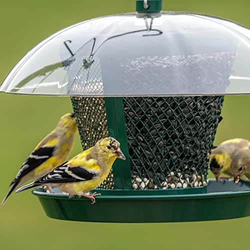 Kingsyard Bird Feeder for Outside, Dual-Use Metal Mesh Wild Bird Feeder with Weatherproof Dome Dual, 2.5 lbs Seed Capacity for Finch Cardinal 9