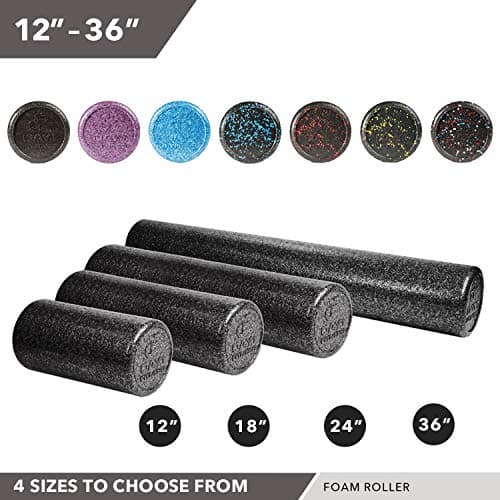Day 1 Fitness High Density Muscle Foam Rollers - Sports Massage Rollers for Stretching, Physical Therapy, Deep Tissue, Myofascial Release - Ideal for Exercise and Pain Relief - Speckled Blue, 12” 5