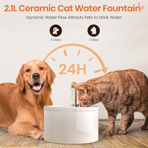 MISFANS Ceramic Cat Water Fountain - 2.1L/71oz - All-Ceramic Body & Pure Copper Water Spout - Non-Toxic - Automatic Pet Drinking Fountain Indoor with Ultra-Quiet Pump, and 3Pcs Filter & Sponge (White) 5