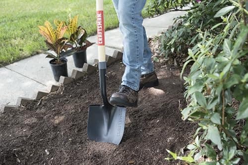 Craftsman Garden Shovels for Digging and Gardening: Heavy Duty Spade Shovels Ideal for Construction Projects 5